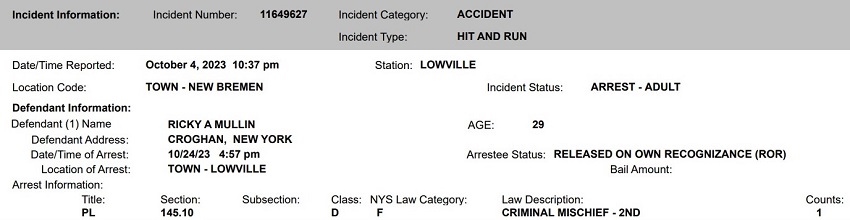 A close up of a document

Description automatically generated