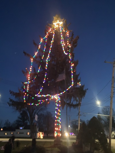 A tree with lights on it

Description automatically generated