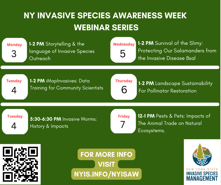 graphic of 2024 nyisaw webinars