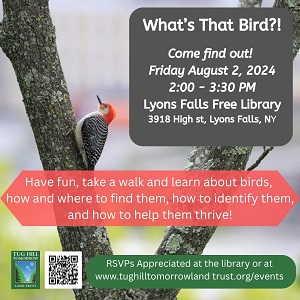A bird on a tree branch

Description automatically generated