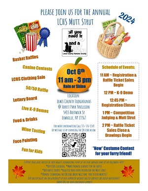 A poster for a contest

Description automatically generated