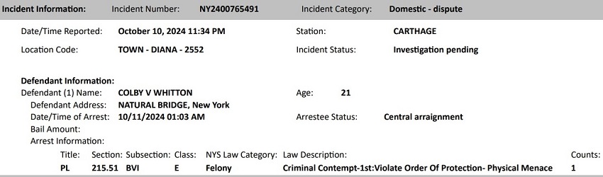 A screenshot of a document

Description automatically generated