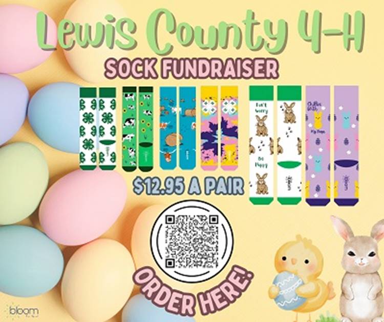 A group of colorful eggs with a couple of bunnies

AI-generated content may be incorrect.