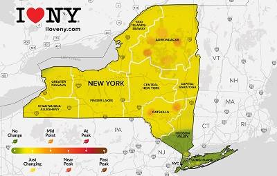 A map of the state of new york

AI-generated content may be incorrect.