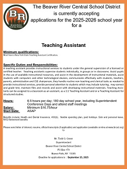 A close-up of a teaching assistant

AI-generated content may be incorrect.