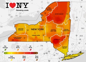 A map of the state of new york

AI-generated content may be incorrect.