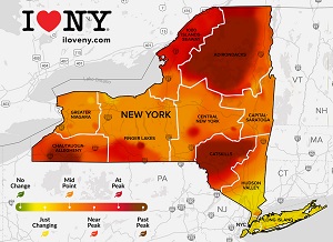 A map of the state of new york

AI-generated content may be incorrect.
