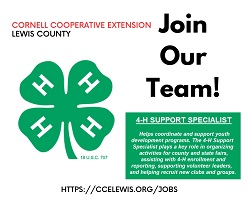 A green four leaf clover with white text

AI-generated content may be incorrect.