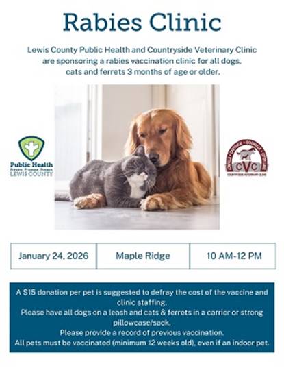 A screenshot of a phone

AI-generated content may be incorrect.