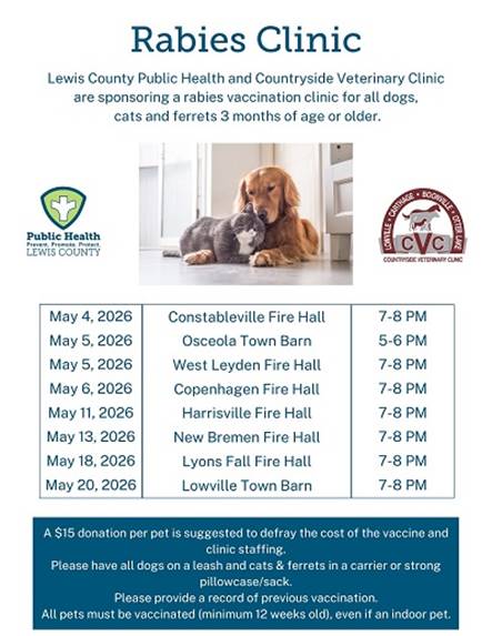 A poster of a dog and cat

AI-generated content may be incorrect.