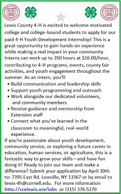 A close-up of a flyer

AI-generated content may be incorrect.