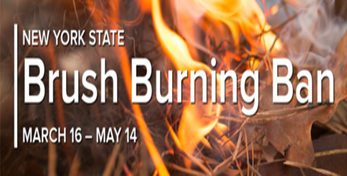 A close up of flames

AI-generated content may be incorrect.