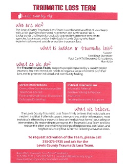 A close-up of a flyer

Description automatically generated