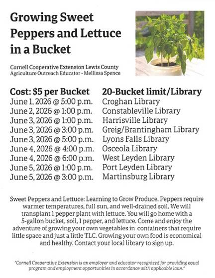 A poster of a plant

AI-generated content may be incorrect.