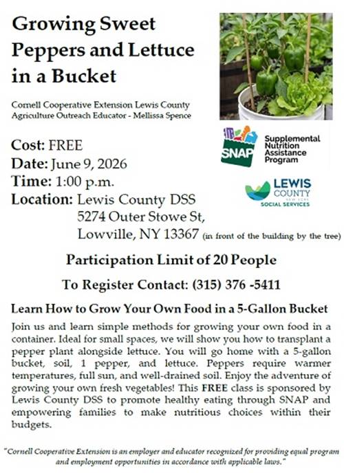 A flyer for a plant growing in a bucket

AI-generated content may be incorrect.