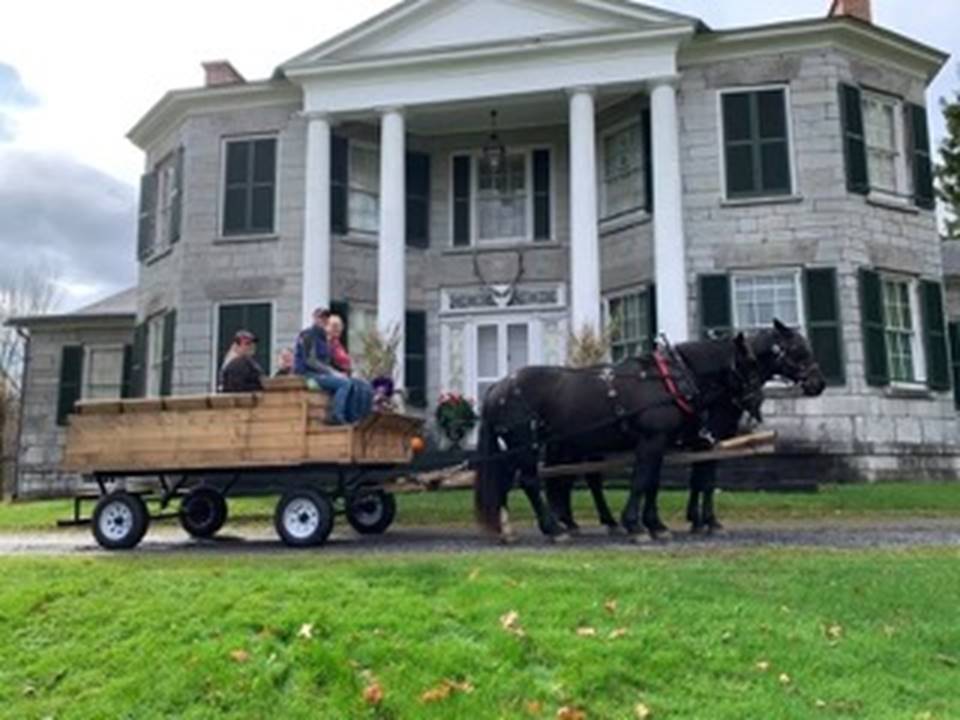 A horse pulling a wagon

AI-generated content may be incorrect.